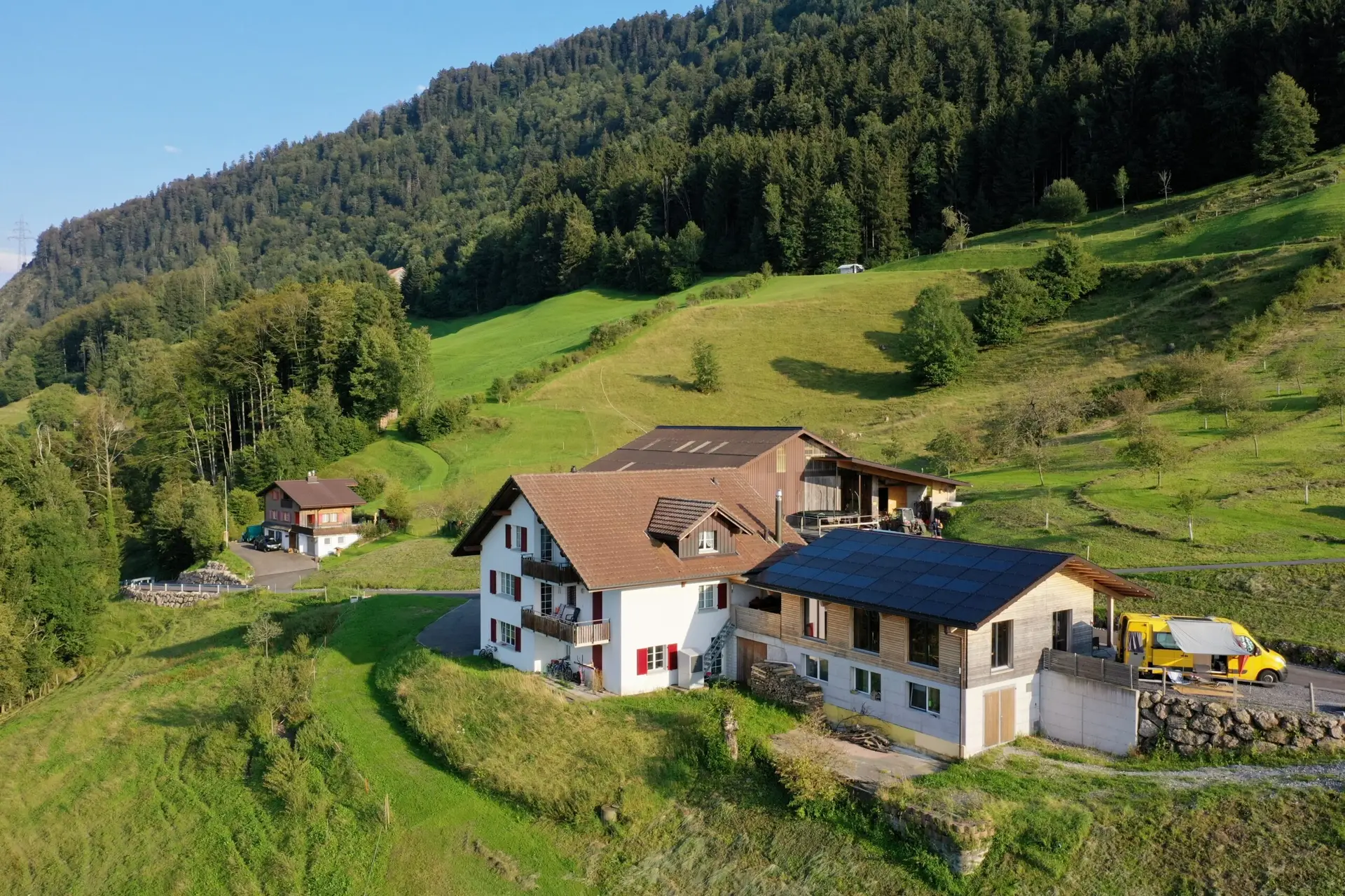 Zebu Hof
